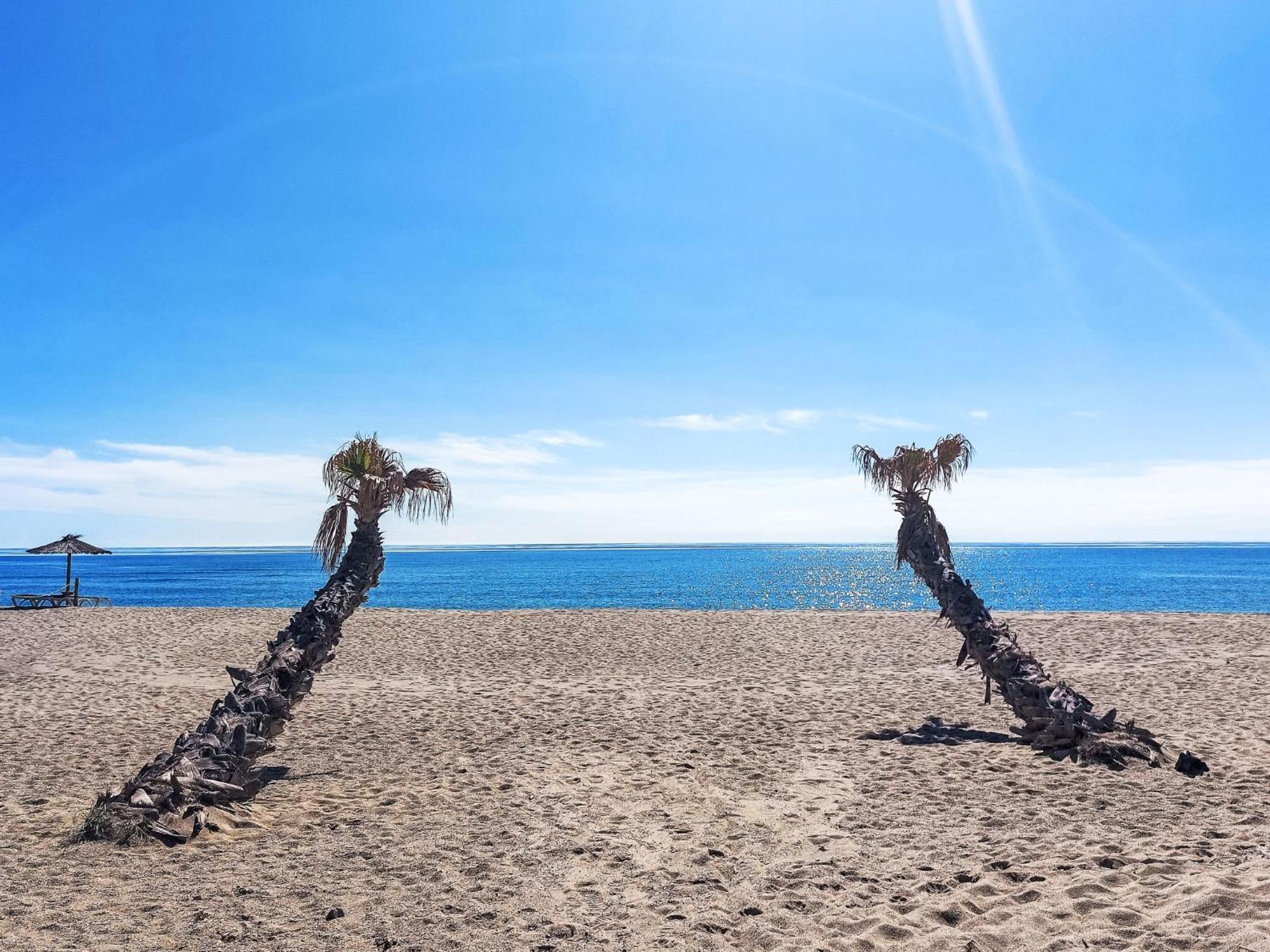 Apartment Palm Beach-2 By Interhome Le Barcarès エクステリア 写真